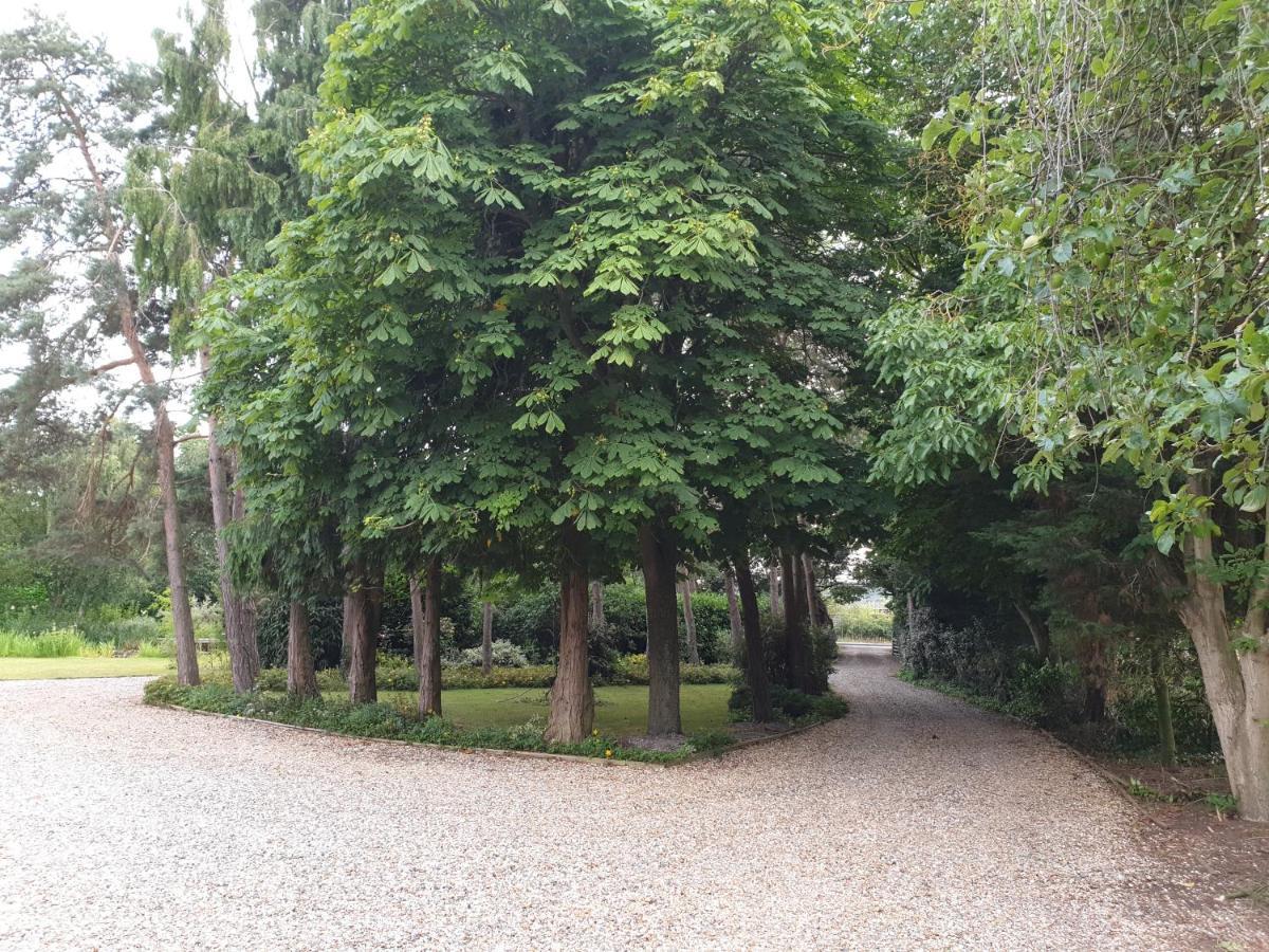 The Reading Whole Chalet With Lake And Two Acre Gardens Εξωτερικό φωτογραφία