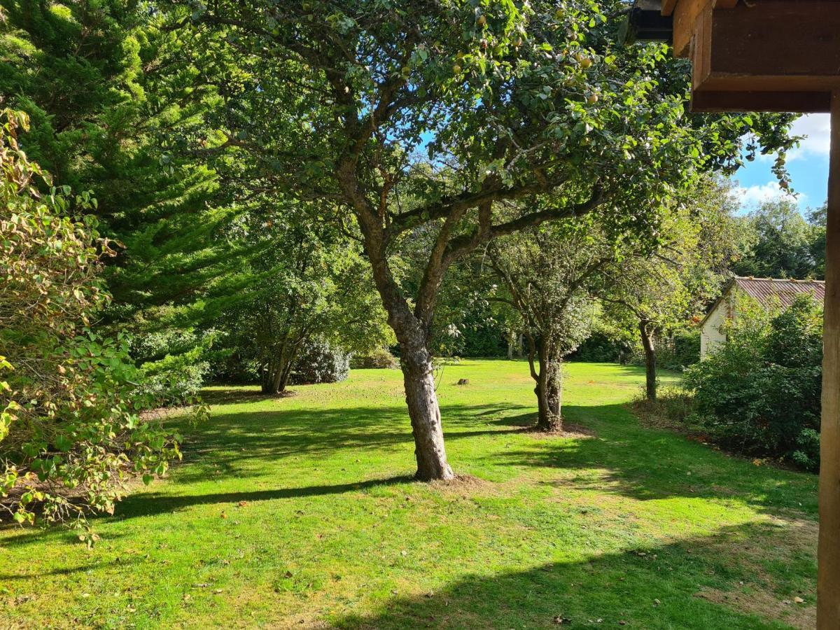 The Reading Whole Chalet With Lake And Two Acre Gardens Εξωτερικό φωτογραφία